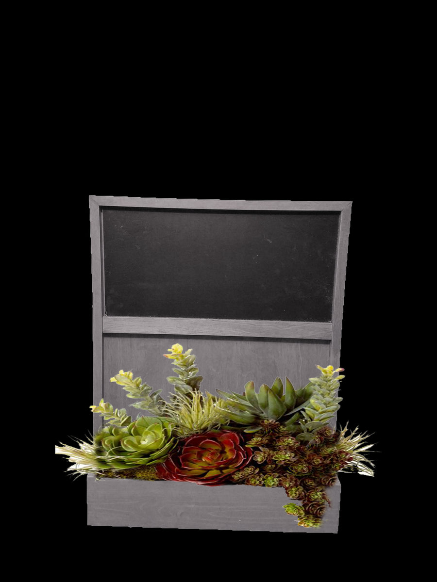 Grown by you WM19CB-BW Wall Mounted Chalkboard Key Rack with Planting